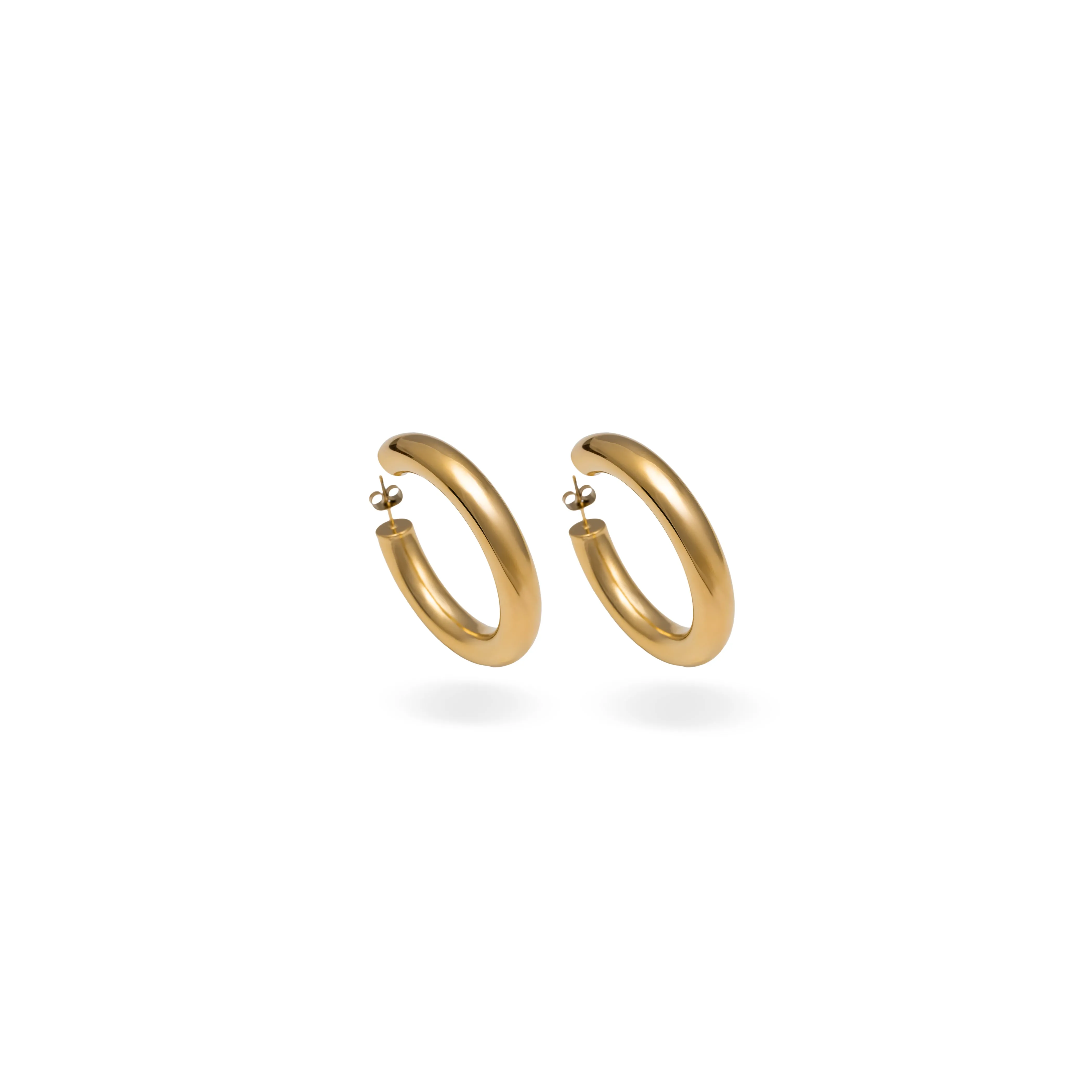 Chic Curve Earrings