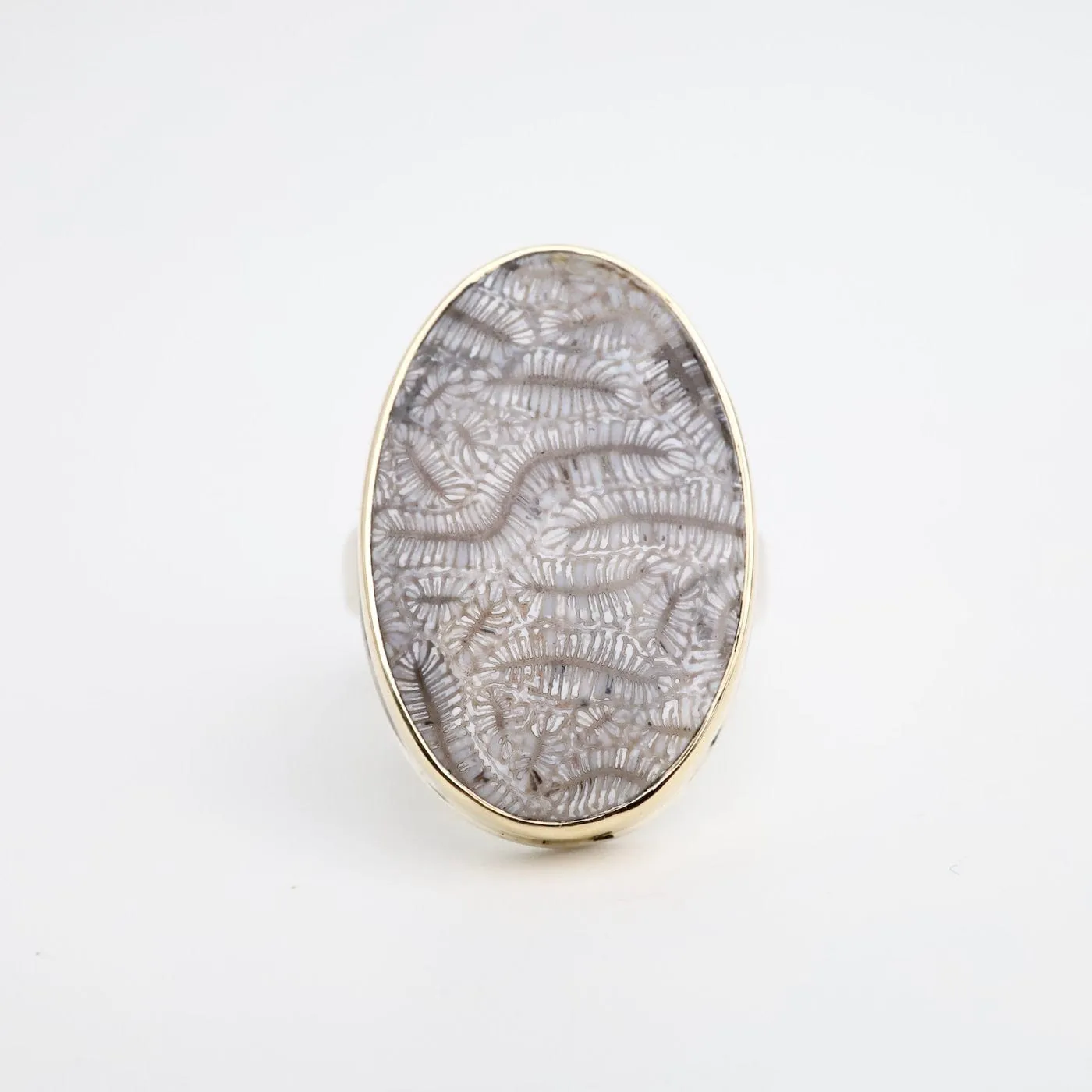 Jamie Joseph Vertical Oval Fossilized Coral Ring