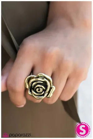 Paparazzi Ring ~ Amazing Grace - Brass