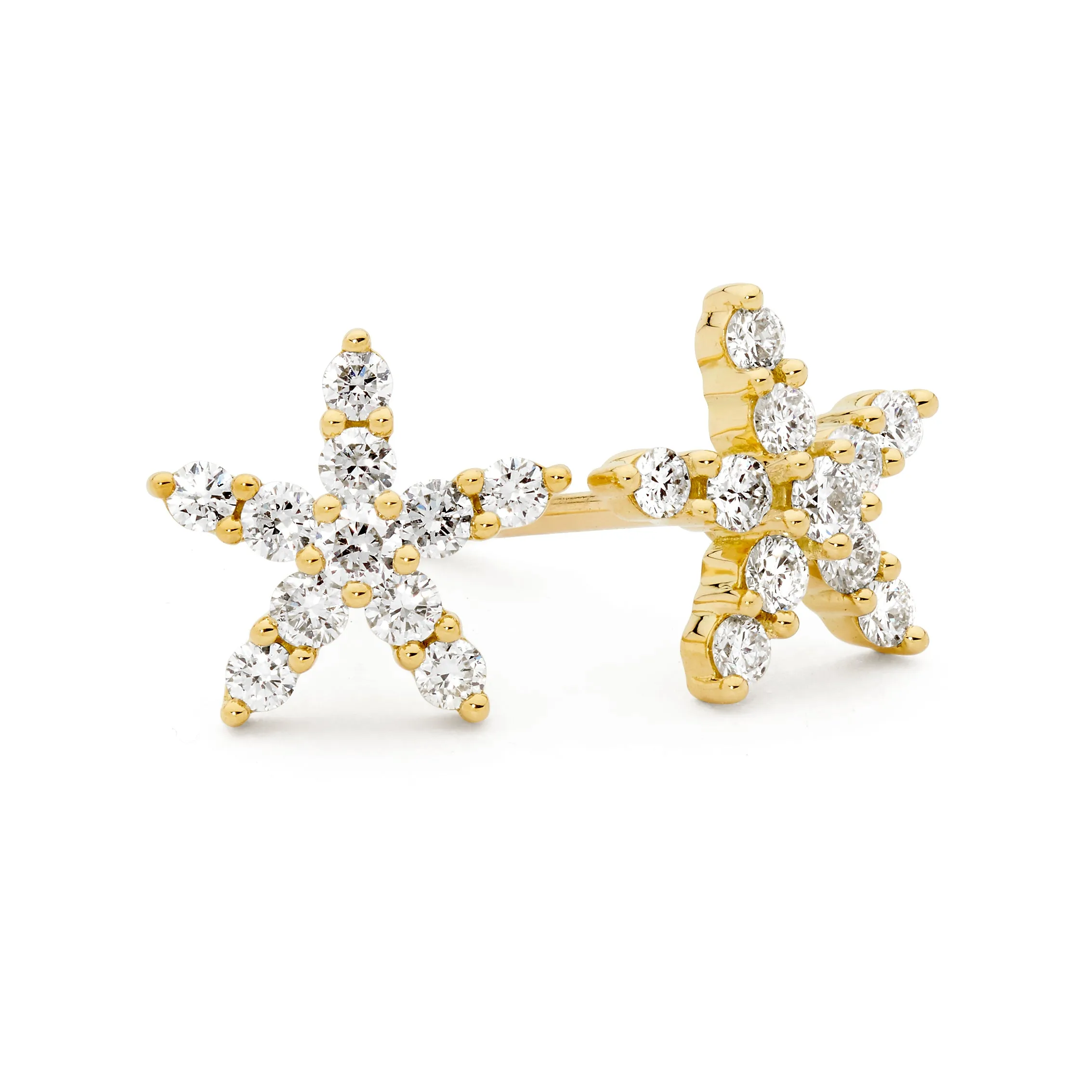 Starfish Studs